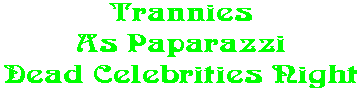 Trannies As Paparazzi Dead Celebrities Night