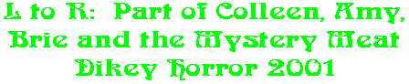 L to R:  Part of Colleen, Amy, Brie and the Mystery Meat Dikey Horror 2001