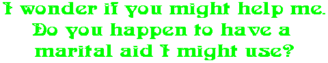 I wonder if you might help me. Do you happen to have a  marital aid I might use?