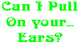 Can I Pull On your... Ears?