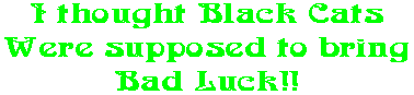 I thought Black Cats Were supposed to bring Bad Luck!!