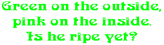 Green on the outside, pink on the inside. Is he ripe yet?