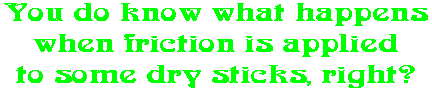You do know what happens when friction is applied to some dry sticks, right?