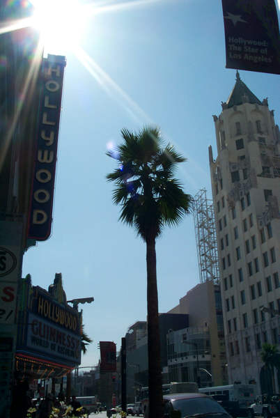 Hwd-005.jpg