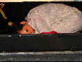 Oct04-095.jpg