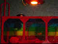 Feb21-077.jpg