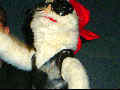Mar20-200.jpg
