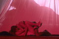 Jan10-291.jpg