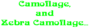 Camoflage, and Zebra Camoflage...